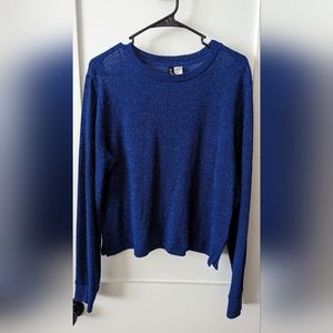 H&M Royal Blue Sparkle Sweater